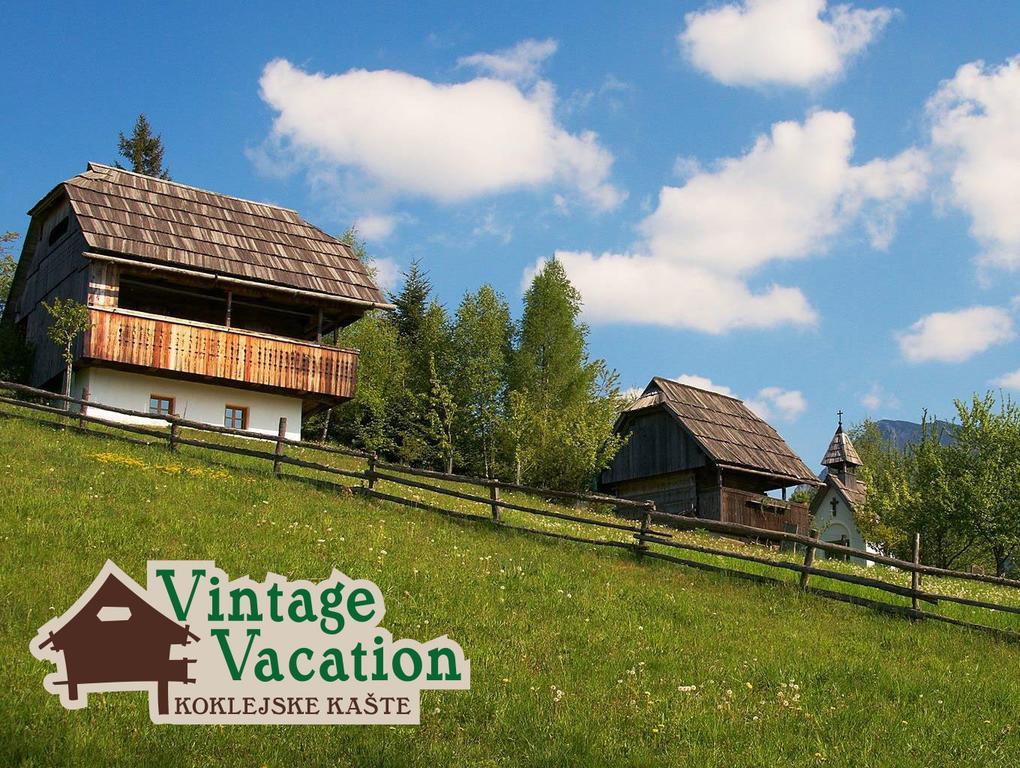 Domacija Koklej - Apartments Vintage Vacation Luče Exteriör bild