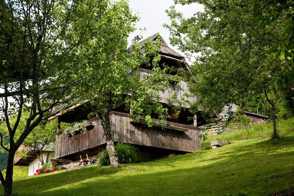 Domacija Koklej - Apartments Vintage Vacation Luče Exteriör bild