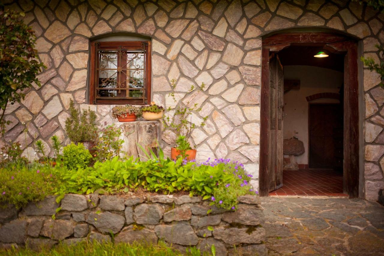 Domacija Koklej - Apartments Vintage Vacation Luče Exteriör bild