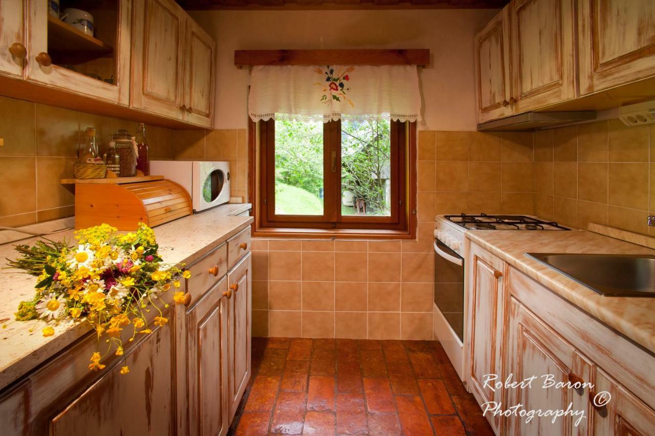 Domacija Koklej - Apartments Vintage Vacation Luče Exteriör bild